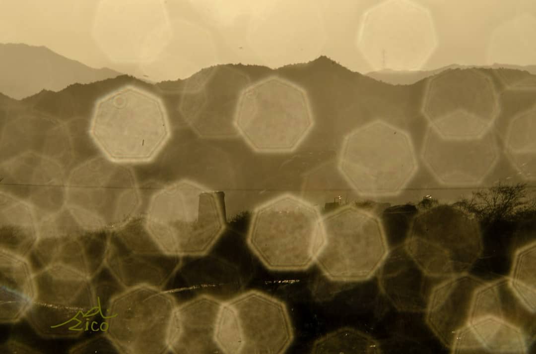 nassir1443's tweet image. #nikon #nikond7000 @memberpitt #phlearn @phlearn #piximperfect @piximperfect #photography @photography #تصويري #السعودية #جدة #makkah #jeddah #العرضيات #العرضية_الشمالية #cats #pets #likes #nature #birds #bird #tree #moon #rain #sunset #sunrise #cloud