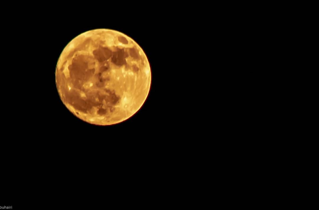 nassir1443's tweet image. #nikon #nikond7000 @memberpitt #phlearn @phlearn #piximperfect @piximperfect #photography @photography #تصويري #السعودية #جدة #makkah #jeddah #العرضيات #العرضية_الشمالية #cats #pets #likes #nature #birds #bird #tree #moon #rain #sunset #sunrise #cloud