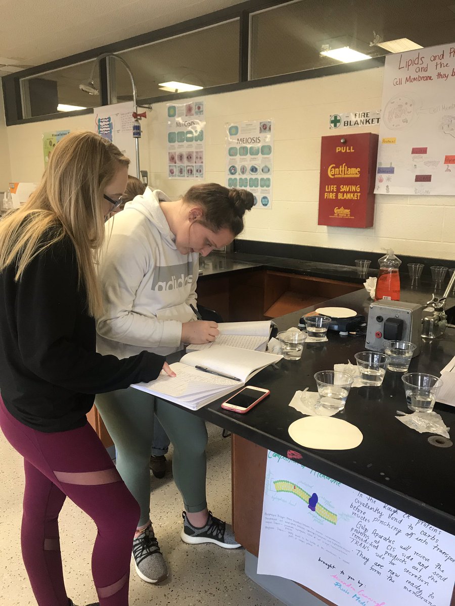 KCook_BPS's tweet photo. APBio diffusion with dialysis tubing pt. 2 with @AJaroBHS #STEMWeek https://t.co/yfREaQzJYF