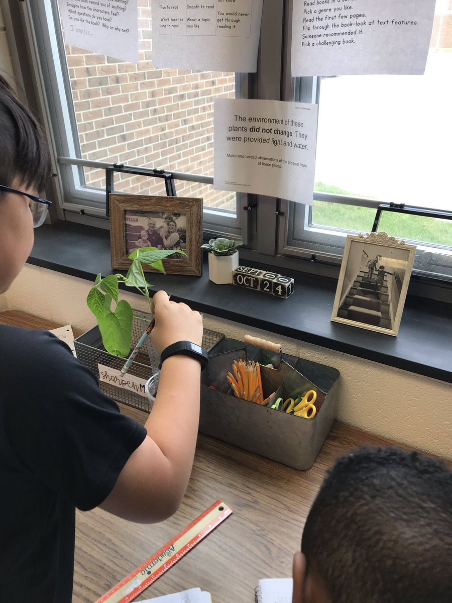 MrsTrodden's tweet photo. Science investigation: Will environmental factors affect the traits (behavioral and physical) of a plant? @HCPSSElemSci https://t.co/rqwTyjqzWT