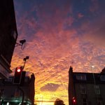 Photo by Dan Barnett (@danabdn)