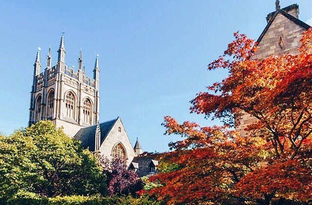 Merton College Chapel proudly standing over the autumnal landscape of Oxford 🍁
#holidaysinthecotswolds
•
•
•
#autumn #oxford #Momentsofmine #beautyyouseek #seekthesimplicity #livethelittlethings #verilymoment #pursuepretty #flashesofdelight #thehappy… ift.tt/2z34E7S