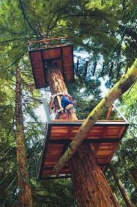 Extreemeadventu's tweet photo. #Halfterm is staggered this year, please note THE HIGH ROPES are open up to &amp; including 7th November. QUAD BIKING and ARMY STYLE ASSAULT COURSE REMAIN OPEN throughout, excluding xmas eve, xmas day + public holidays over the festive season #highropes #asaultcourse #Quadbiking https://t.co/32weUKvtOY