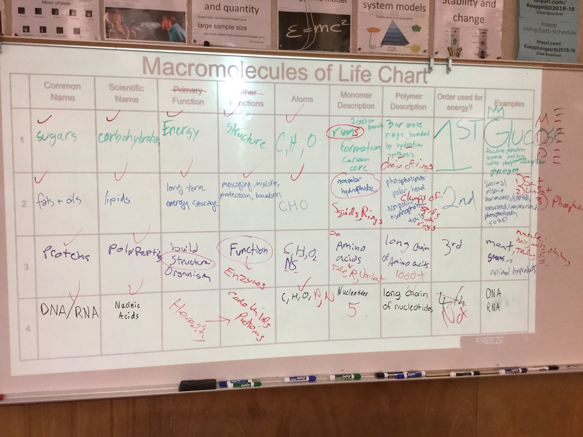 MrKoepp's tweet photo. Getting ready for the macromolecules quiz next class!  @MatsBoosters @MiramonteHS @MHSCounsel https://t.co/xHODuOc1Xn