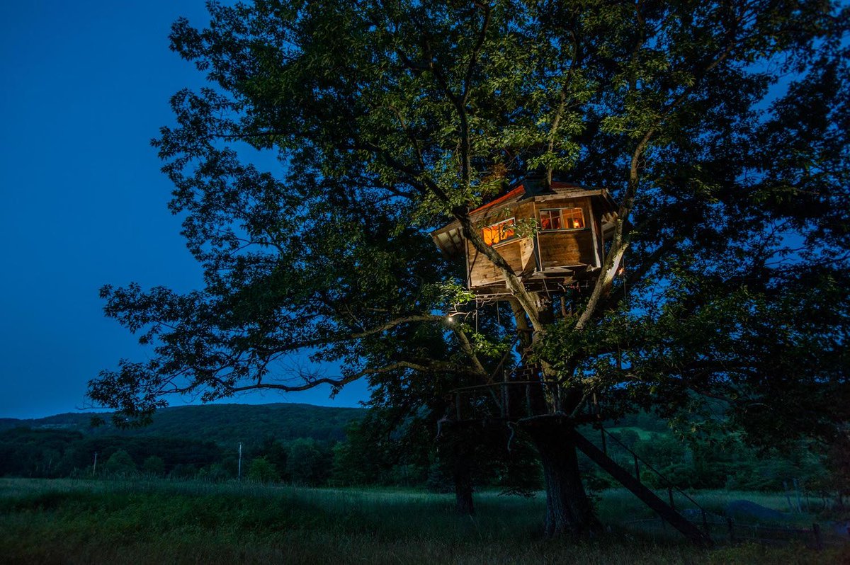 EdibleWC's tweet image. We belong in trees. buff.ly/2NKKPwp