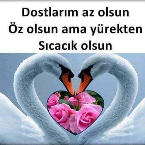 İyi akşamlar