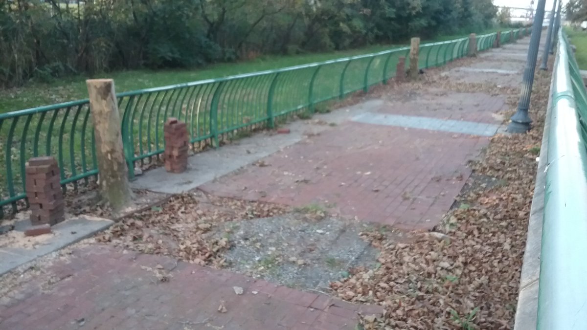 Arlene_the_Tree's tweet image. Only 5 of the 84 Shelterbelt trees remain, and they will probably be gone by tomorrow.  Come to the JC Council meeting tonight (10/24) at 6PM at City Hall - 280 Grove Street.  Join all the Friends in support of environmental advocacy for Jersey City. #trees #treespeech