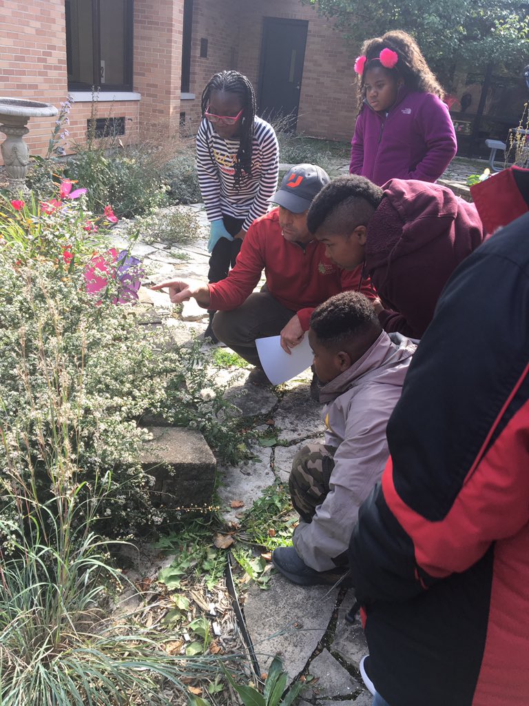 Mrs. Surdyk tweet media