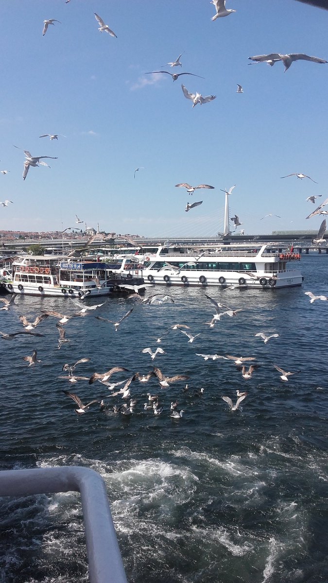 Yol A Dus Geceyi Maviye Boya Mavi Turku Yoladus Geceyimaviyeboya Maviturku Youtube