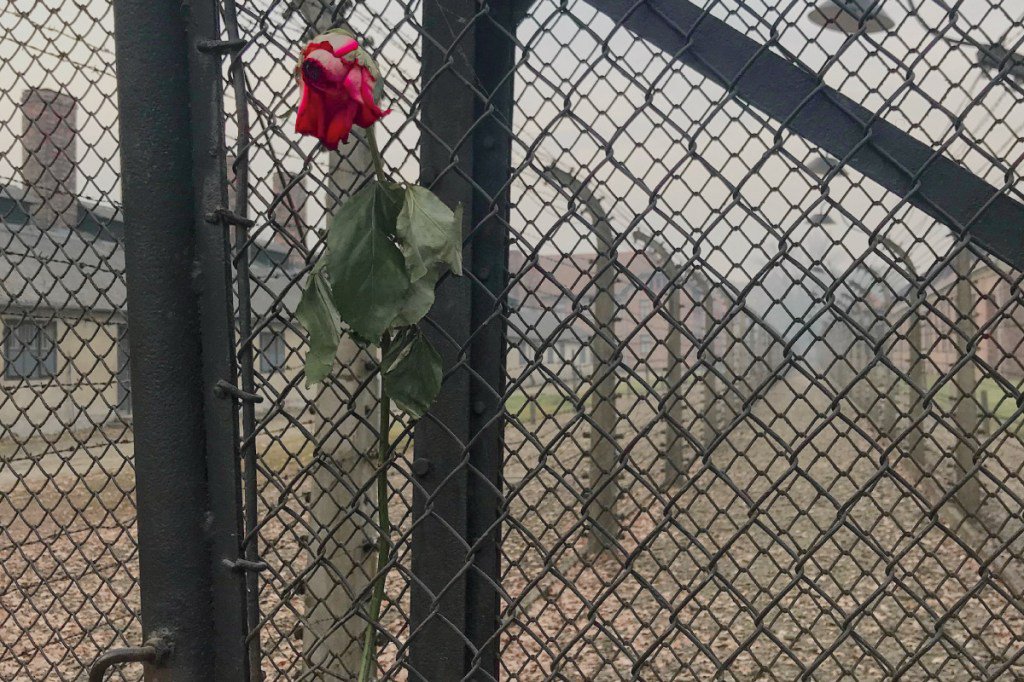 Um conto de empatia sob a ótica do Holocausto batendoasa.com/devaneios/um-c…