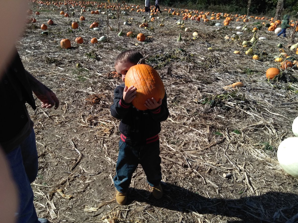 #kingstonk14pride #keeplearning. Preschool had a great day at the pumpkin patch.