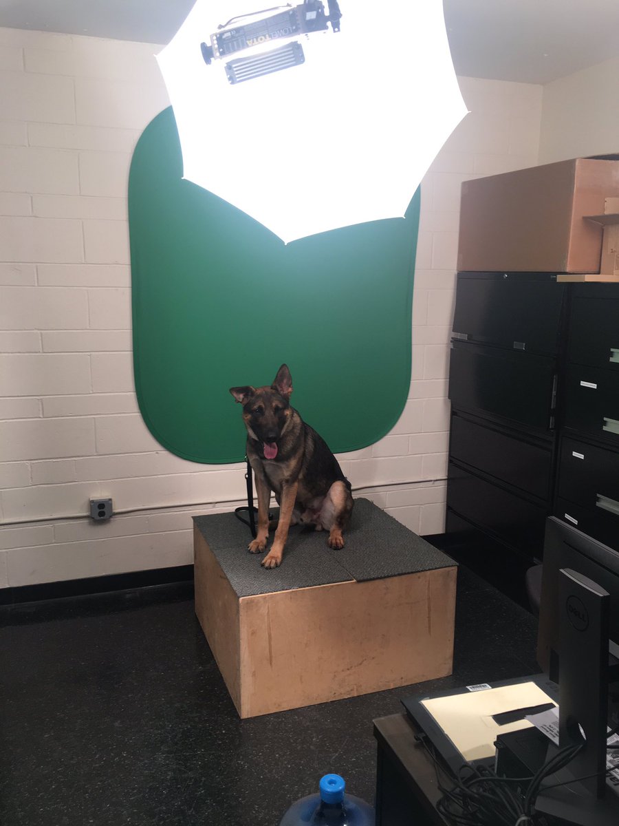LoveK9Louie's tweet photo. I thought my partner was in trouble when he got called to report to headquarters. But I come to find out, it was just a photo shoot for me! Say biscuits ๐๐ธ
#LoveK9Louie #saycheese #photoshoot #zoolanderface https://t.co/yCtGuilvdR