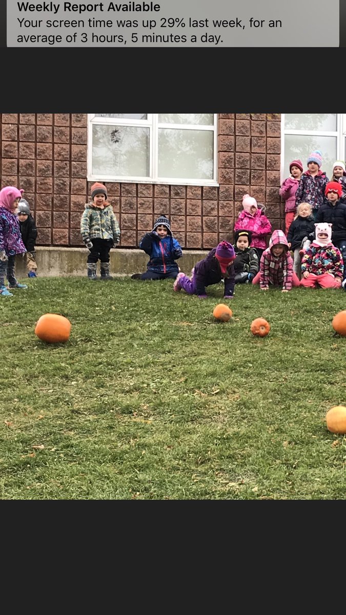 MaryboroughPS's tweet photo. KB Runaway pumpkin STEM challenge! #TakeMeOutsideDay #UGLearnGreen https://t.co/179Z1GxSSn