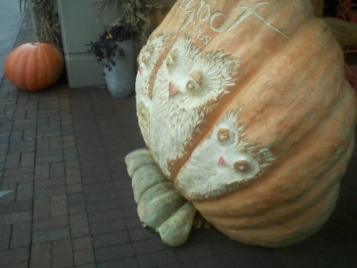 Nice thing about downtown in Traverse City <a href="/CityofTC/">Traverse City, MI</a> #tcmi in autumn, when someone asks for directions you can just say "when you see the Great Pumpkin patch, just make a left"
#PureMichigan