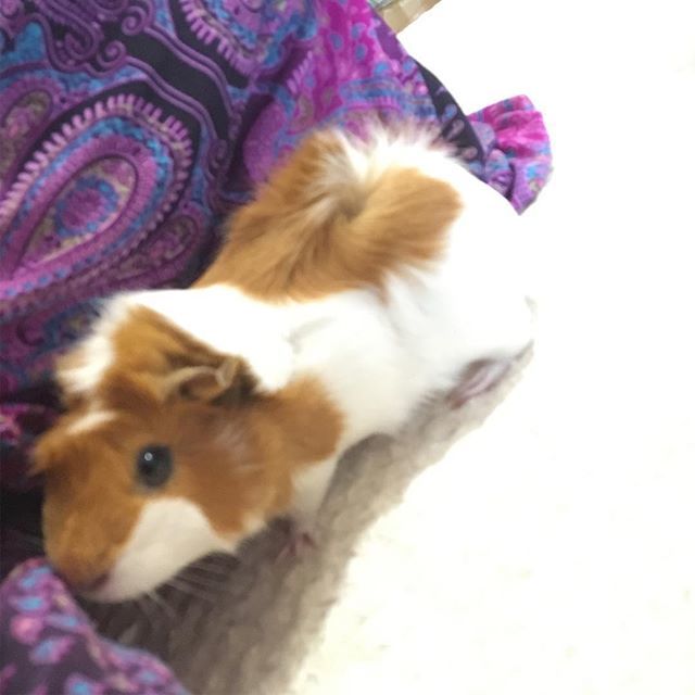 mohi_goma's tweet image. てすと
#mohi ift.tt/2D2cLGe