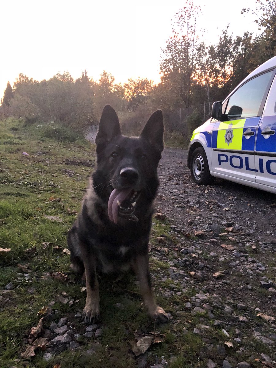 BTPDogs's tweet photo. Good Evening from #PDTimor ๐ whose already been busy supporting @BTPBhm @BTPWestMids & @BTP3Counties ๐ https://t.co/lKlBeU1LQ0