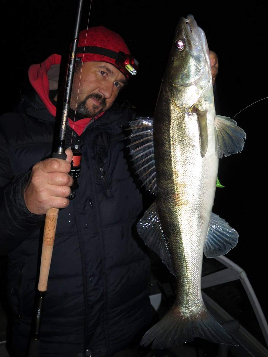 GalAVlru's tweet image. Мне нравится ночная рыбалка: ловля в слепую - совершенно другой уровень мастерства спиннингиста.
#fishing #zander #foxrage