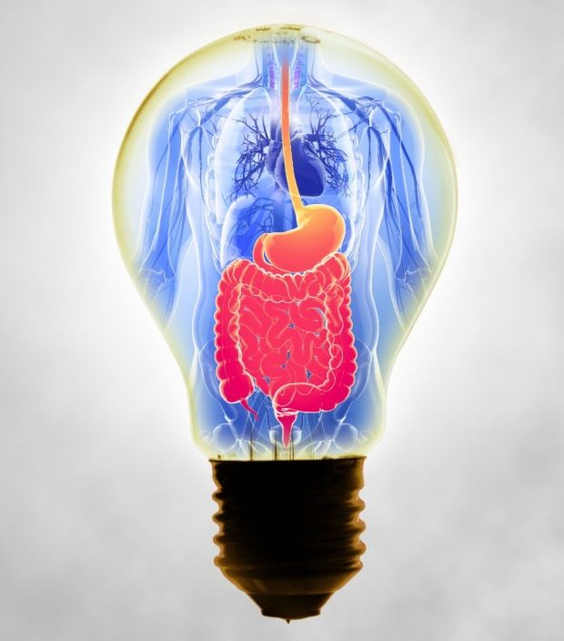 read neurohypophysial hormones