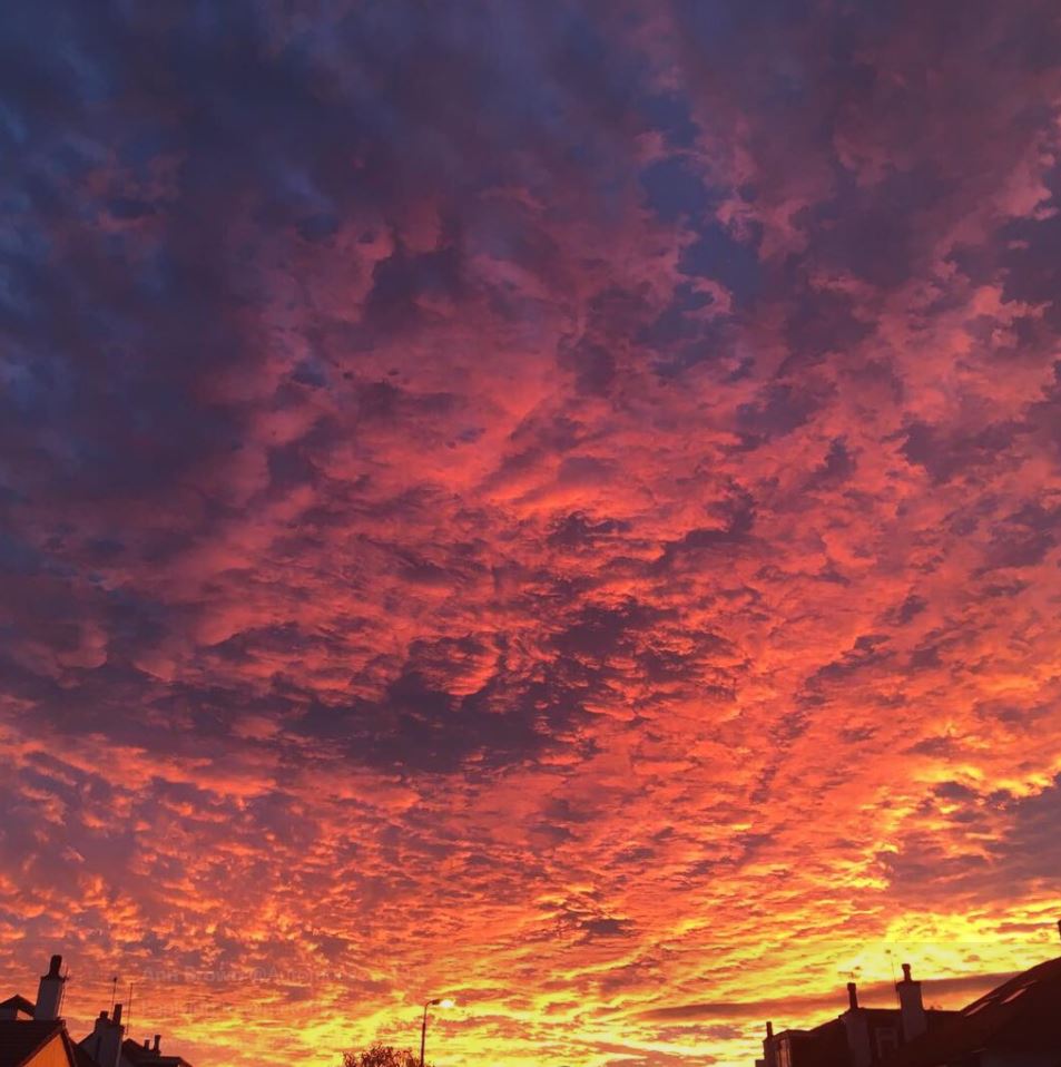 😲🌇Wow! Here are some of our favourite sunset photos sent in this evening #loveukweather Thanks everyone 🙂 <a href="/hantsF1/">Dave Judson</a> <a href="/IrishPixel/">Gareth</a> <a href="/milforduk/">MarkTidy63</a> <a href="/Aurorabeee/">💙Ann Brown💙</a>