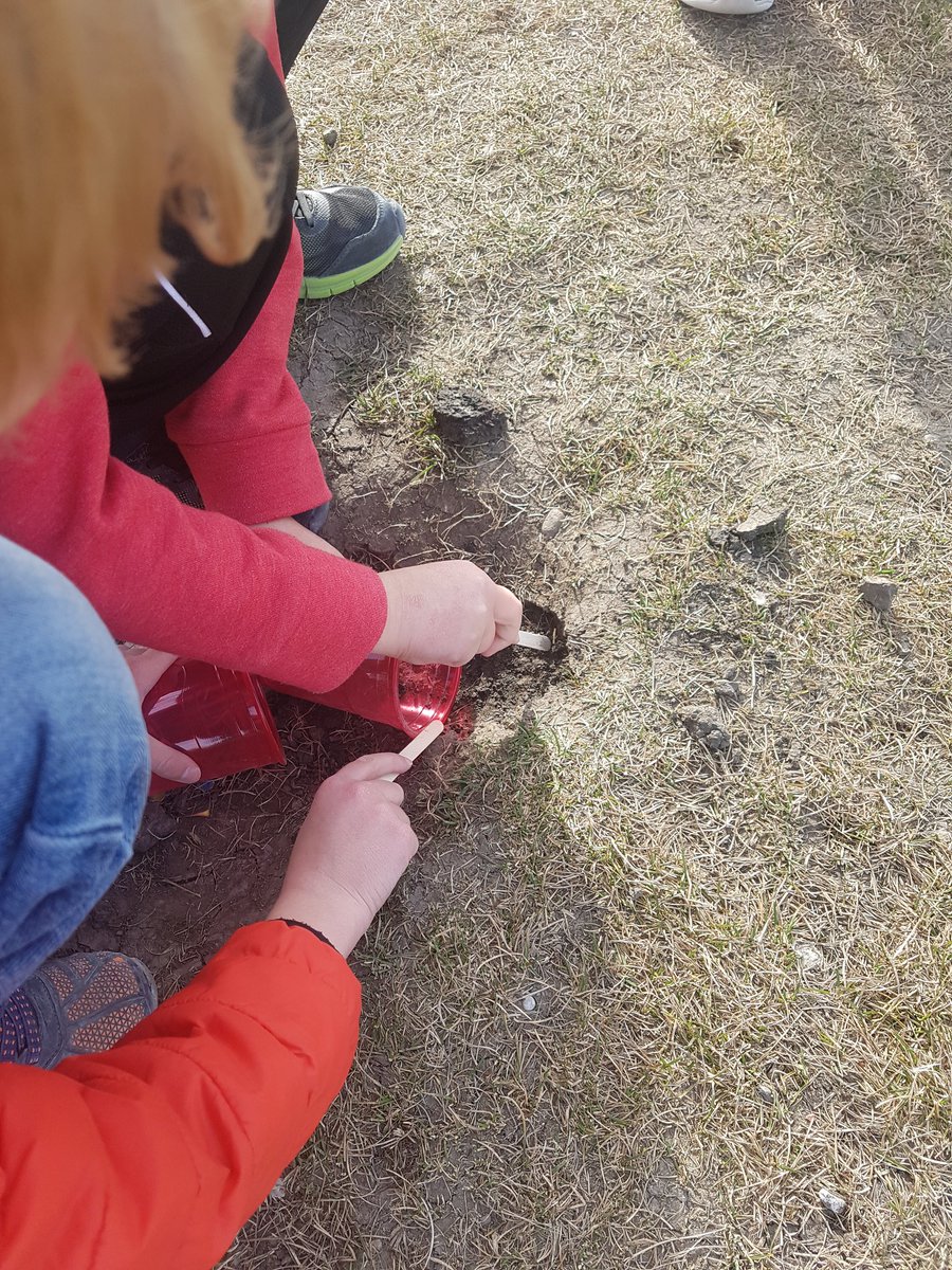 Soaringingrade3's tweet photo. Today we began learning about soil. We collected soil samples from all around the school. We began to notice layers of earth forming in our cups! #geology #hawkwood3s https://t.co/smvBLYHTTn