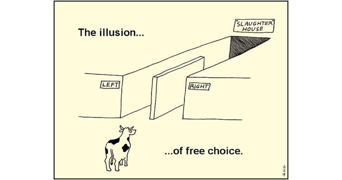 free choice is an illusion The Burning Platform