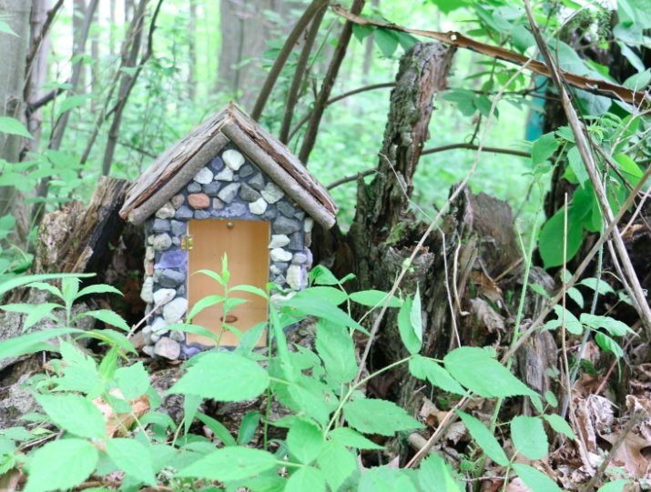 NatureUpNorth's tweet image. There&apos;s a chill in the air and the woodland fairies are almost ready to make their journey south for the winter! Visit their tiny homes and ask them a nature question before they leave on October 28th!

Find clues to the fairy homes at: bit.ly/2JeQky2