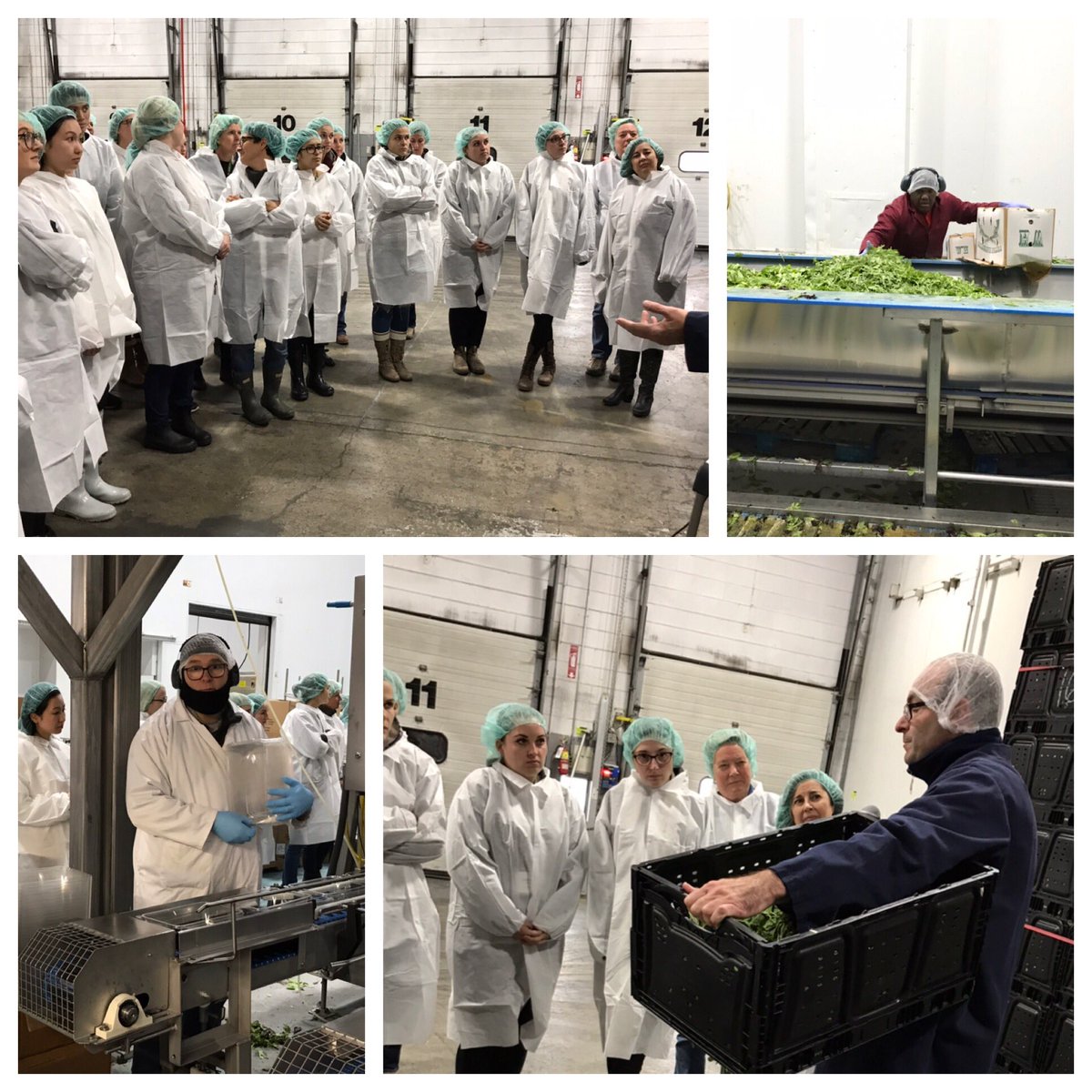 FarmFoodCareON's tweet photo. Who knew there was so much to know about spinach, lettuce and brussels sprouts?! Thanks the Ippolito Group for the tour. This Burlington company ships millions of packages of produce annually across North America. A homegrown Canadian success story. #FFC18 https://t.co/XW2XjsOn5w