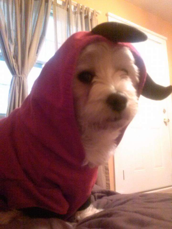 justbeachy74's tweet image. #ThisIsStyle he's ready