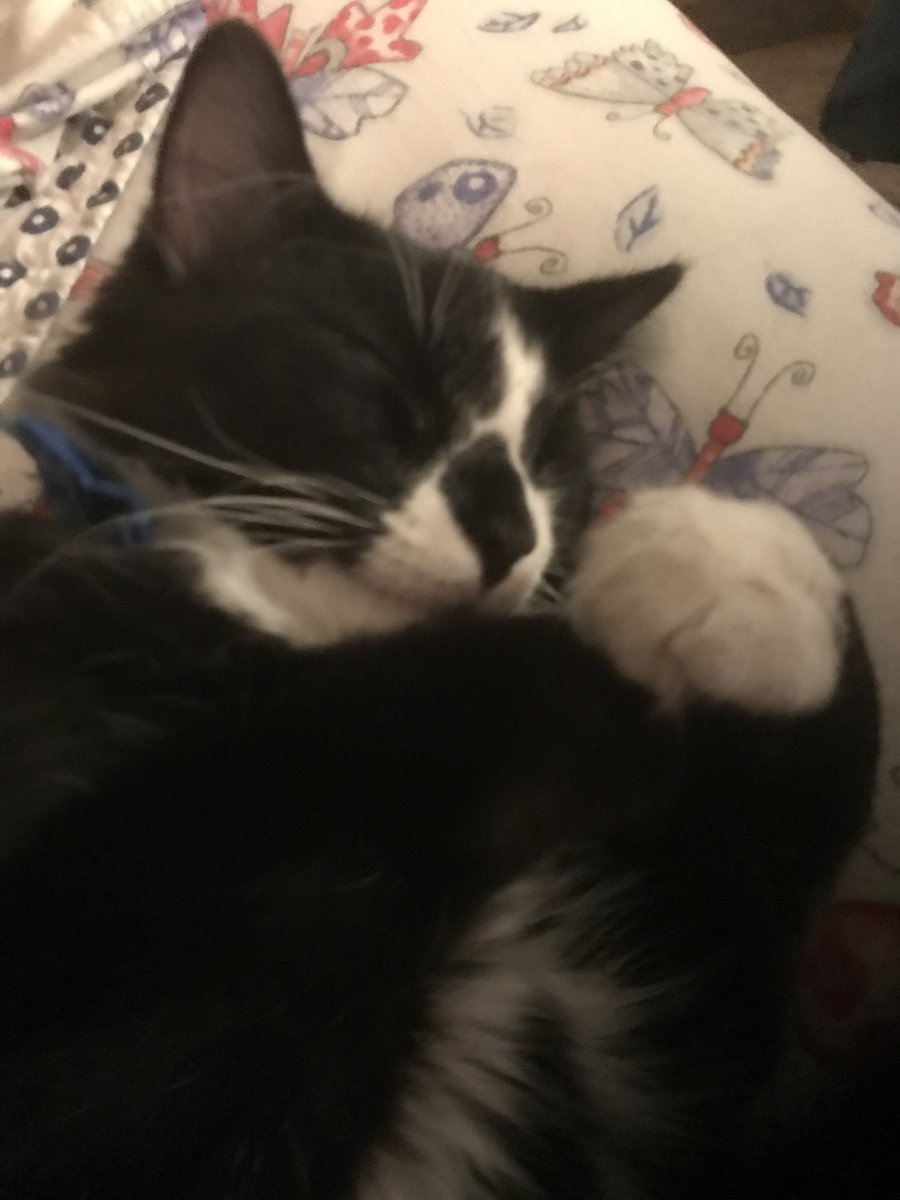 raeraeherman's tweet photo. @ksdknews #SammysStars Franklin Godfrey Herman https://t.co/gP2UqJ9HgX