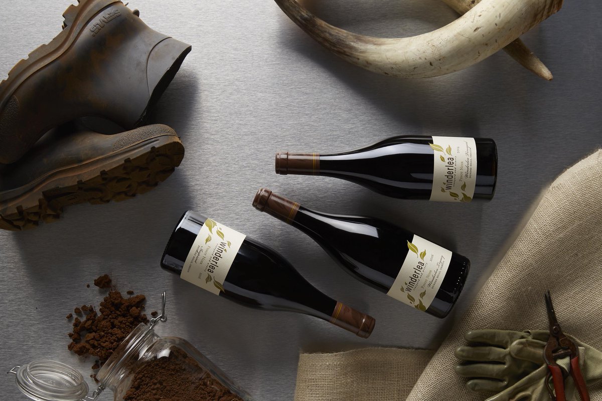 JTWLLC's tweet photo. Check out this #winephotography we did for @Winderlea. #wvwines #harvestseason https://t.co/Y9tCuz64EI