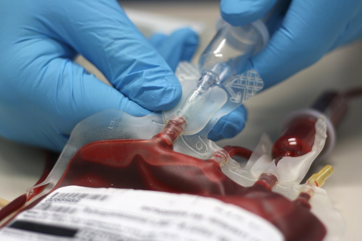 DiarioLibre's tweet photo. Solicitan con urgencia donantes de plaquetas para paciente en hospital de la Policía https://t.co/FqvQ8B6Z2c

#DL #DiarioLibre #Salud #Noticias https://t.co/iKwGLm96KQ