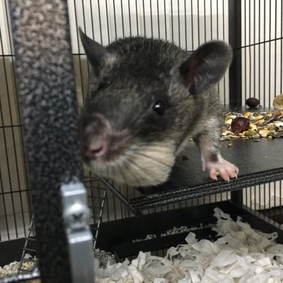 NormanGPR's tweet photo. #NewProfilePic https://t.co/AYFupiKgnq