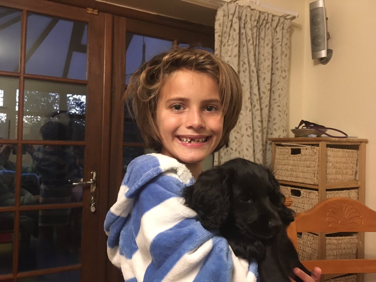 Lyndylooloo's tweet image. Happy 9th Birfdee to my boy #growstoofast