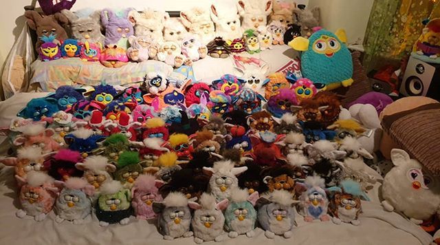 furby collection