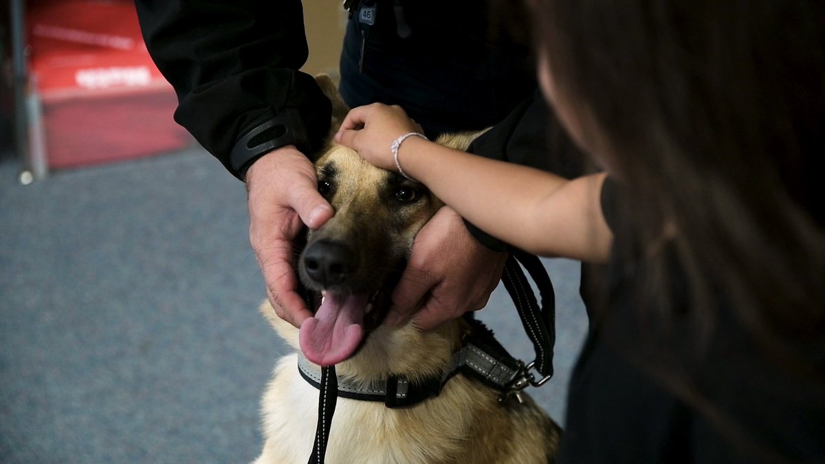 LawtonPS's tweet photo. https://t.co/IKFXgklKW7
Students at Washington Elementary were some of the first students to meet #LPSPD's new #K9 Officer Coco. Once she's fully trained, Coco will help police sniff out narcotics and gunpowder in order to keep our schools safe. #LPS #YouGoCoco https://t.co/OKVJvLodXV
