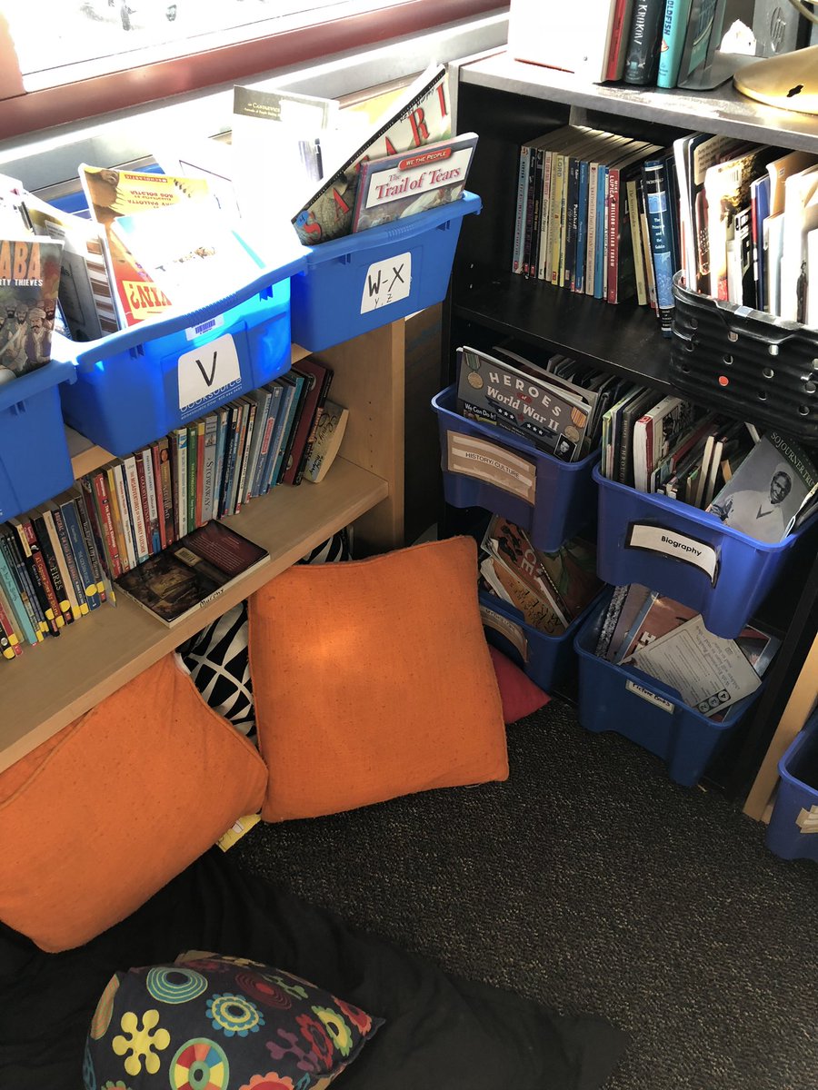 Classroom libraries by level and genre + cozy reading pillows=Reader Ready Classrooms! #RSDExcellence @Renton_Schools