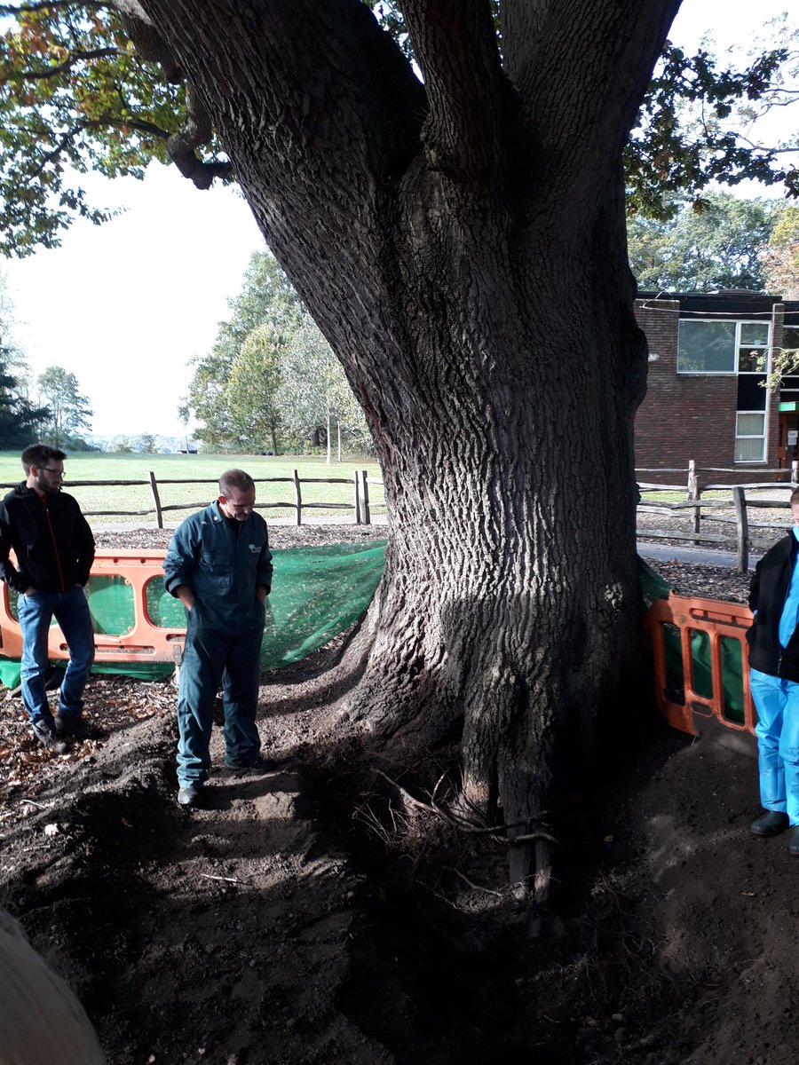 salopian_trees's tweet photo. Fantastic demonstration of air spade and soil remediation techniques this weekend by Dr Glynn Percival of @BartlettTreeExp @MerristWood https://t.co/tYN9DXflVY