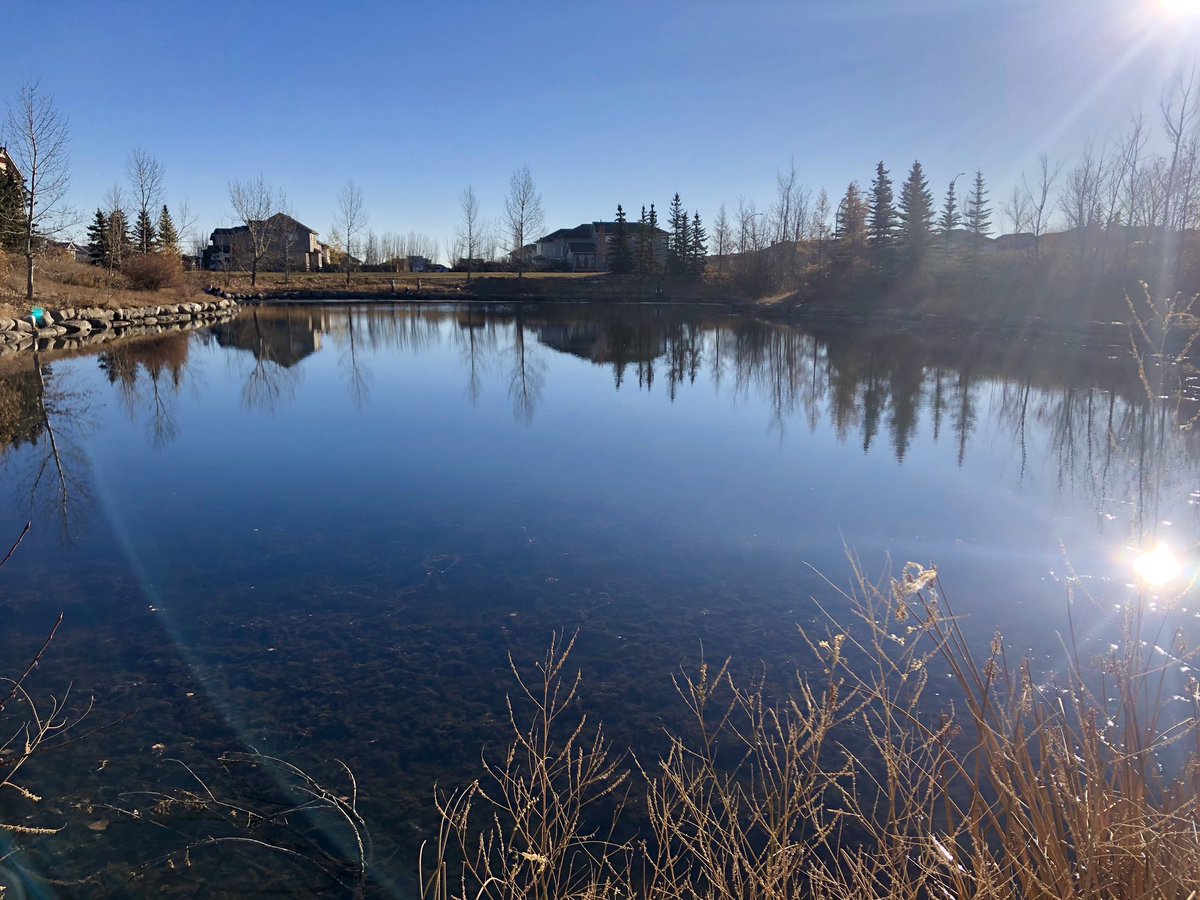 Now this is a classroom! My Grade 8/9 Outdoor Ed class enjoying time in an urban nature setting for #TakeMeOutsideDay. Most weren’t ready to go back to school at the end of the period.
#TakeMeOutside #yycbe #ABed #OutdoorEd #nature #outdoors #cbeEarthPlay #GetOutside