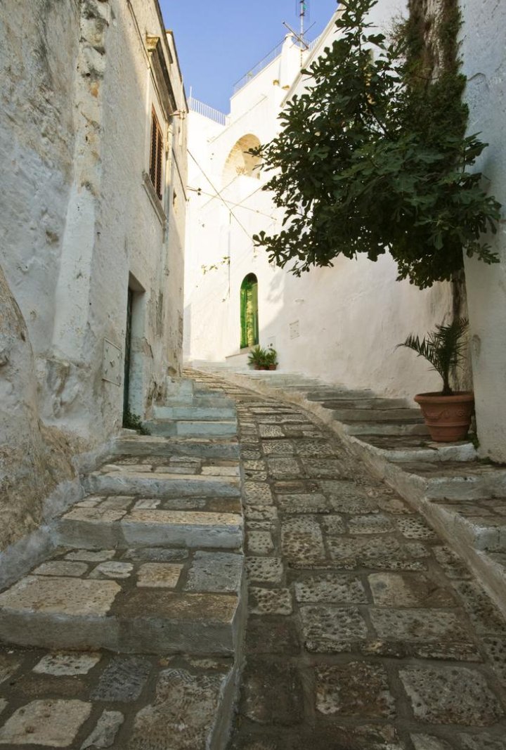 Fans Club Andrés Mercado tweet media