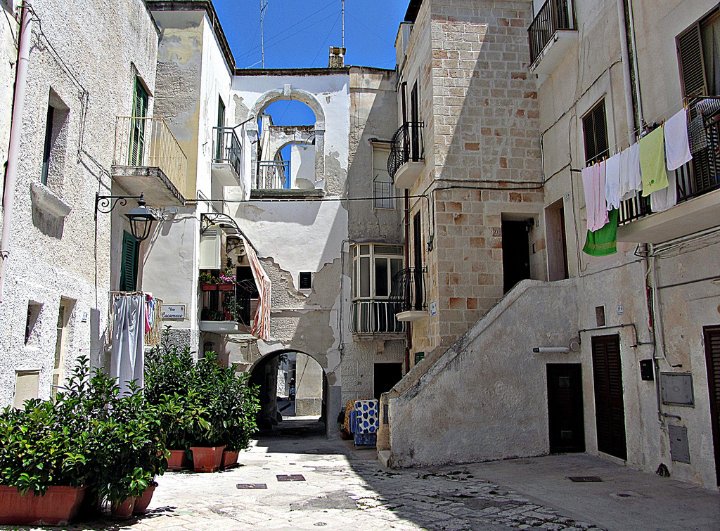 Fans Club Andrés Mercado tweet media