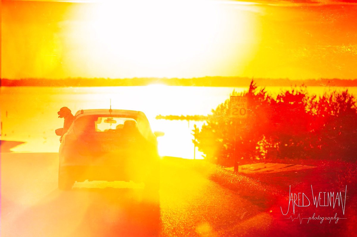 Weinman_photos's tweet photo. Family. Peace. Labrador Retrievers. Lake. Silhouettes. Fall Sunsets. #kansassunsets #labradorretriever #silhouettes #cheneylake #nikonphotography #nikon #fallsunsets https://t.co/u6rxpuc3NZ