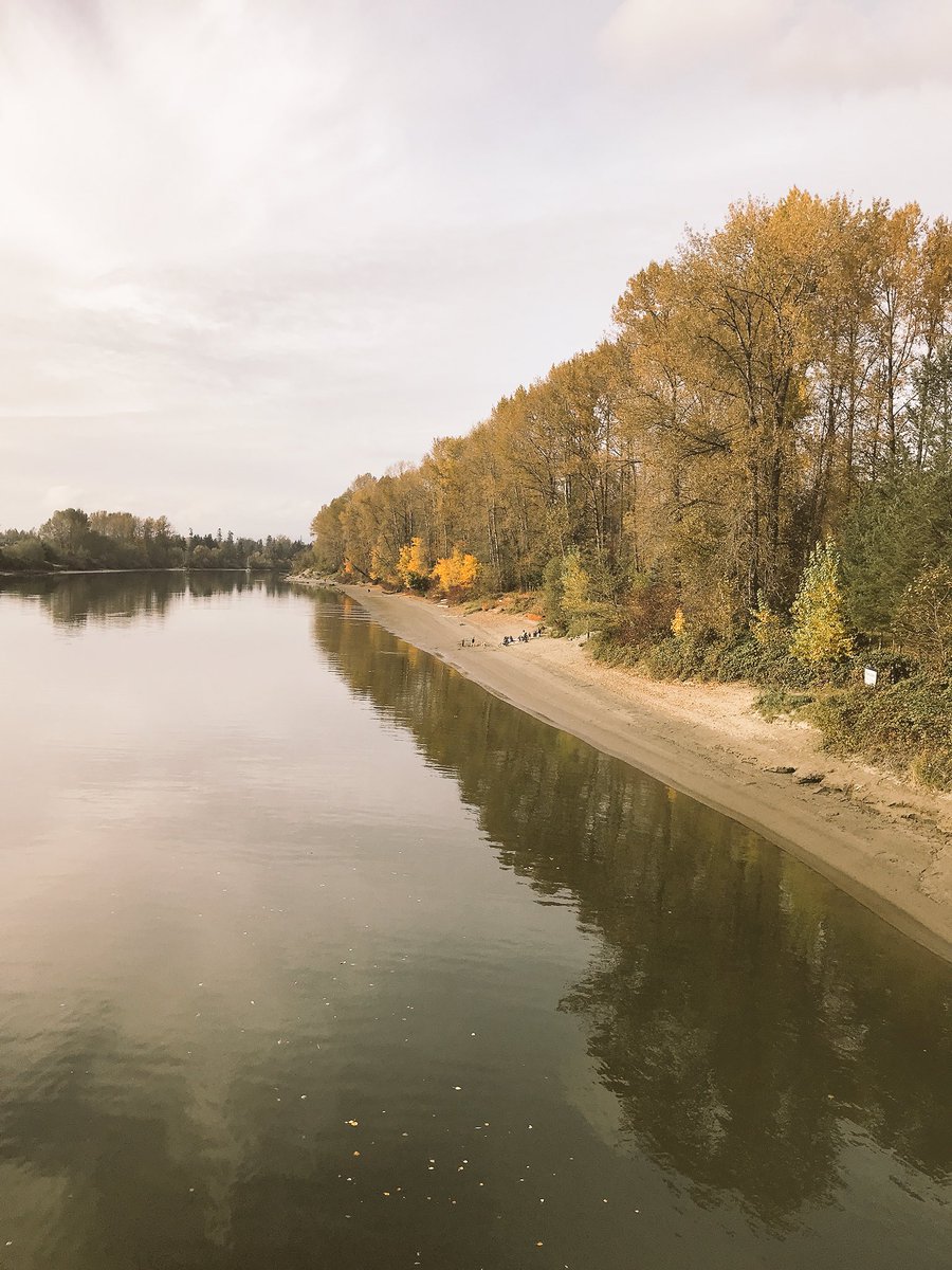 doinggooder's tweet image. Out for a #walk and struck by the #generosity of #nature on a warm, fall afternoon.