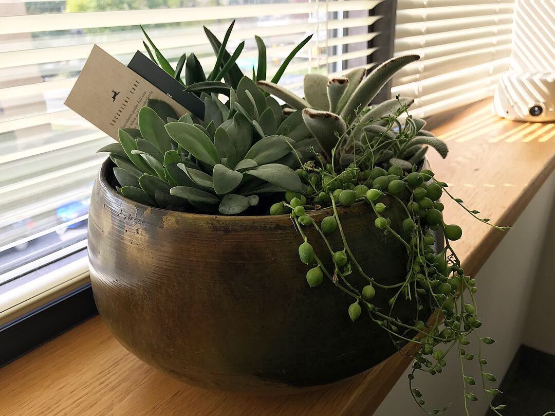 OfficialCFAR's tweet image. Just some of the awesome baskets we have for our event on Friday! Did you know that all the money raised will go toward CFAR opening 8 new therapy rooms and doubling our size?! More space, more families that have access to affordable #MentalHealth services! #Conshohocken #Philly