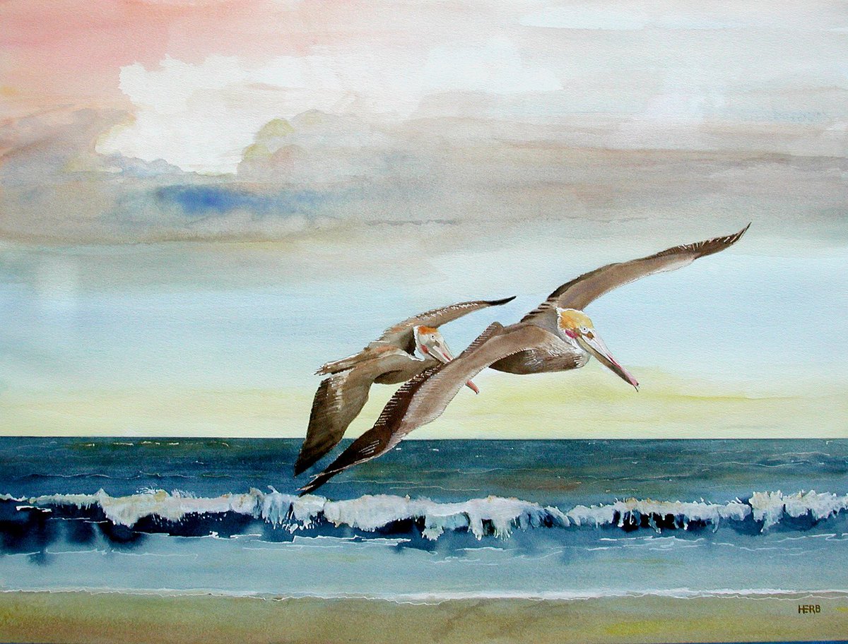 herbwilley's tweet photo. “Fineart comforts and inspires”
Pelicans At Sunset 🌅 🐦 
Transparent watercolor
#HerbWilley #HERB #fineart #art #fineartist #transparentwatercolors #paintings #artcollecting #artcollectors #artcollect #visualart #visualpoet #pelicansatsunset #sunset #pelicans #birdsofbeachblvd https://t.co/XA862HluWB