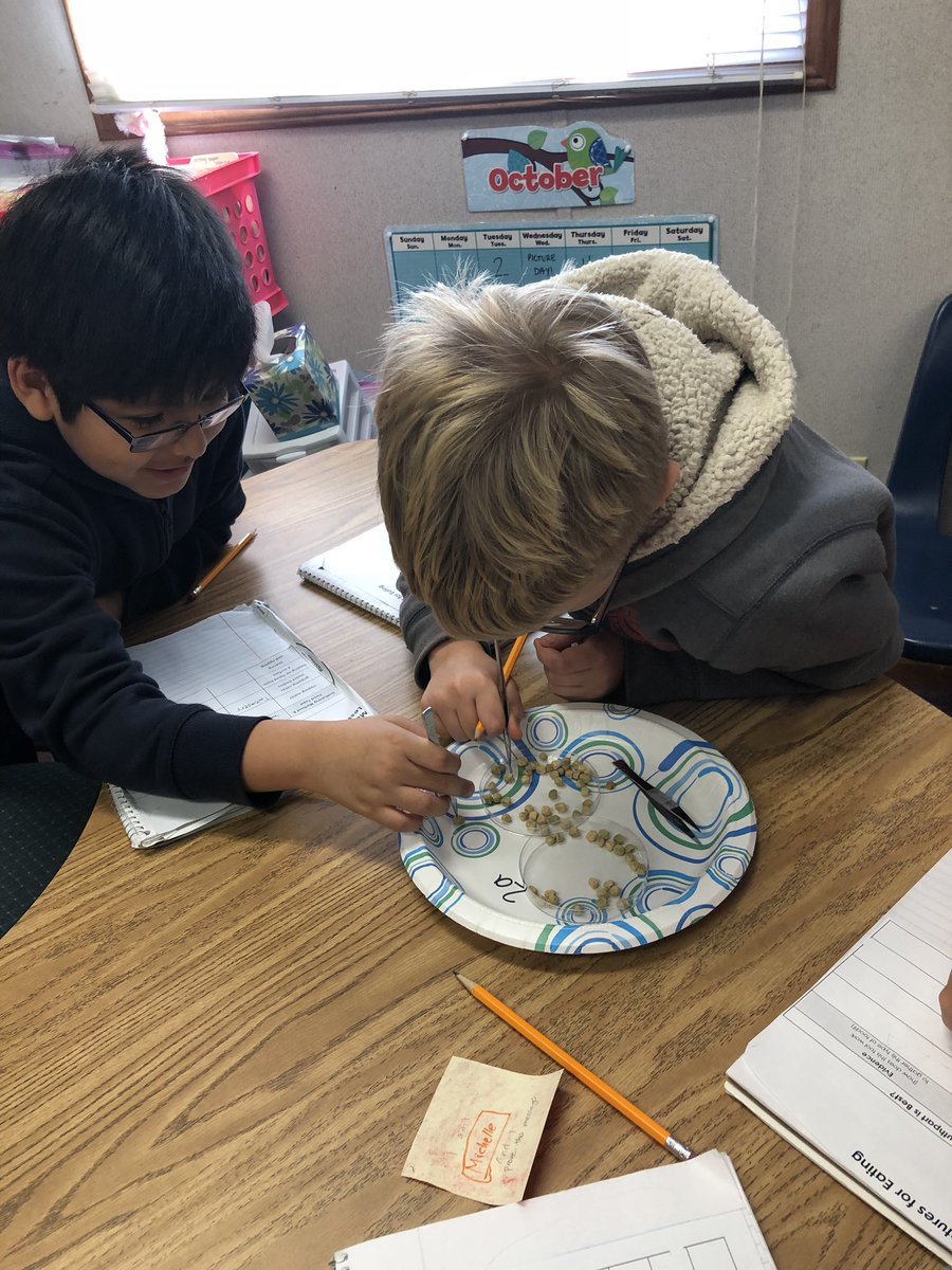 MES_MsCrenshaw's tweet photo. Why aren’t all insects the same? Students explored structural adaptations and discovered how some “mouth parts” are better than others depending on what the insect eats #ecosystems #structuraladaptations https://t.co/pWWLZhCw7k