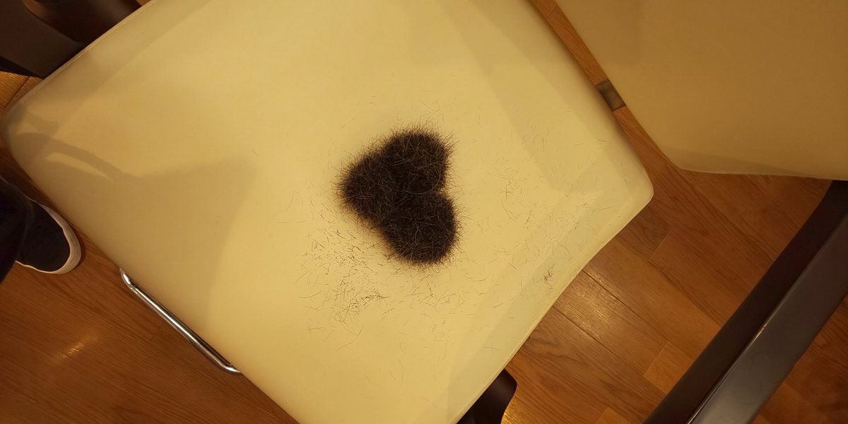 その日グラシ アザラシ Twitterissa スタッフがハート型の毛玉発見w毛玉が３つくっついてて激レアだわw Qbハウス お掃除中に発見 ハート型 毛玉 全国のqbハウススタッフの皆さんお疲れ様です