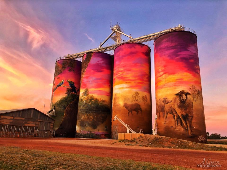 ABCRural's tweet photo. If you're wondering where to find all the amazing painted silos that are popping up, look no further! The Australian Silo Art Trail has started mapping the locations of the artworks to help people plan trips to see them.  How many have you seen? https://t.co/ek7cdGykEM https://t.co/3nzwve8c2A