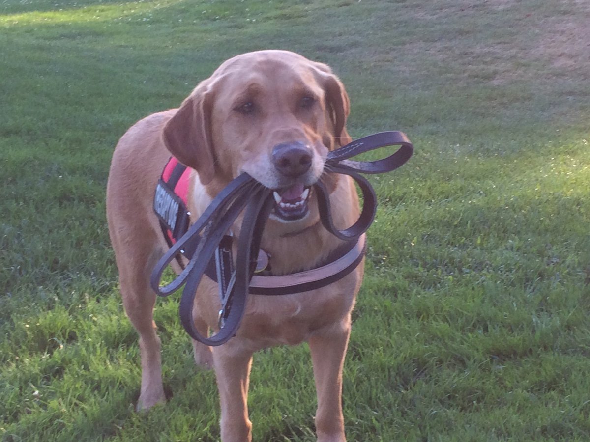 Tony Mehalovich tweet media