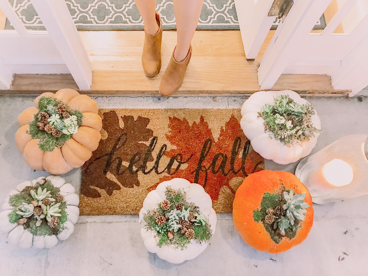 TheDDBlog's tweet image. Succulent-pumpkin craft tutorial up on the blog today!! 🧡🌿 thedaughterdiary.com/post/succulent…