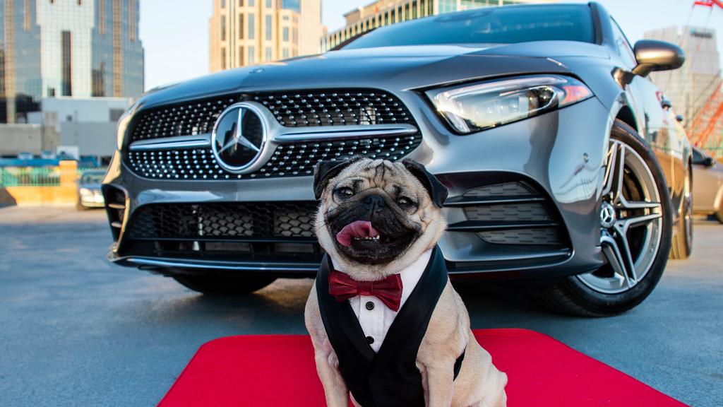 The one and only <a href="/itsdougthepug/">Doug The Pug</a> crossed “Riding in a Mercedes-Benz A-Class” off his Bucket List. You’re next. Visit AClassBucketList.mbusa.com to find out how to enter the A-Class Bucket List contest.